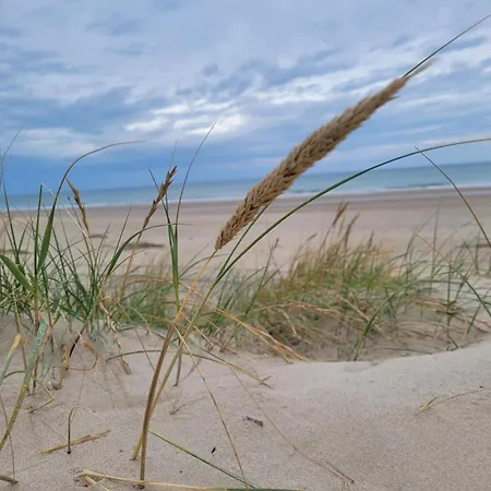 8 Person In Hirtshals-by Traum