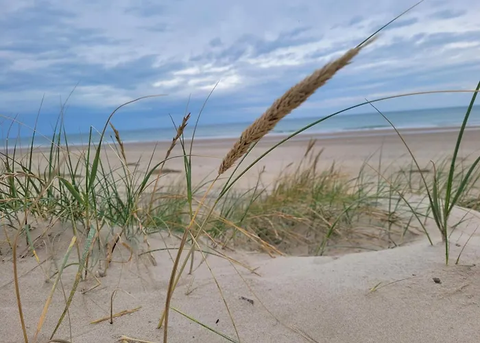 8 Person In Hirtshals-by Traum