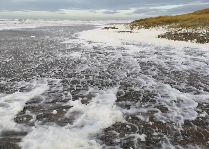 8 Person In Hirtshals-by Traum 度假居 *