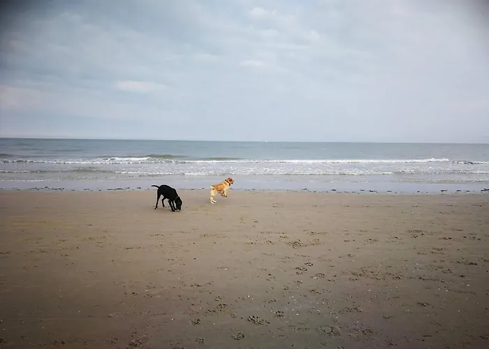 度假居 8 Person In Hirtshals-by Traum *
